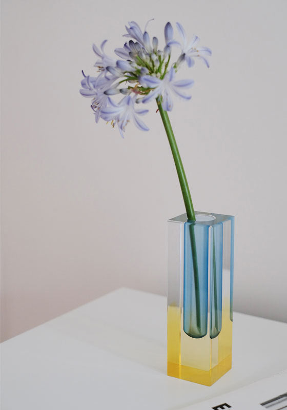 Minimalist Nordic ins Acrylic Vase Square Column Glass Bubble Flower Utensils Flower Water